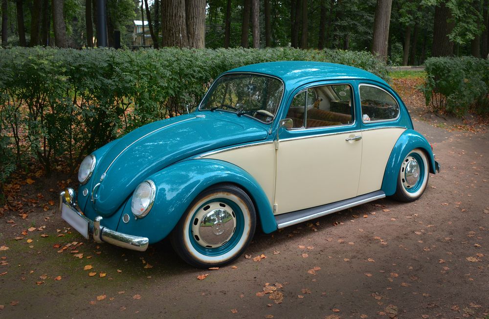 Photograph by Inna Ivanova