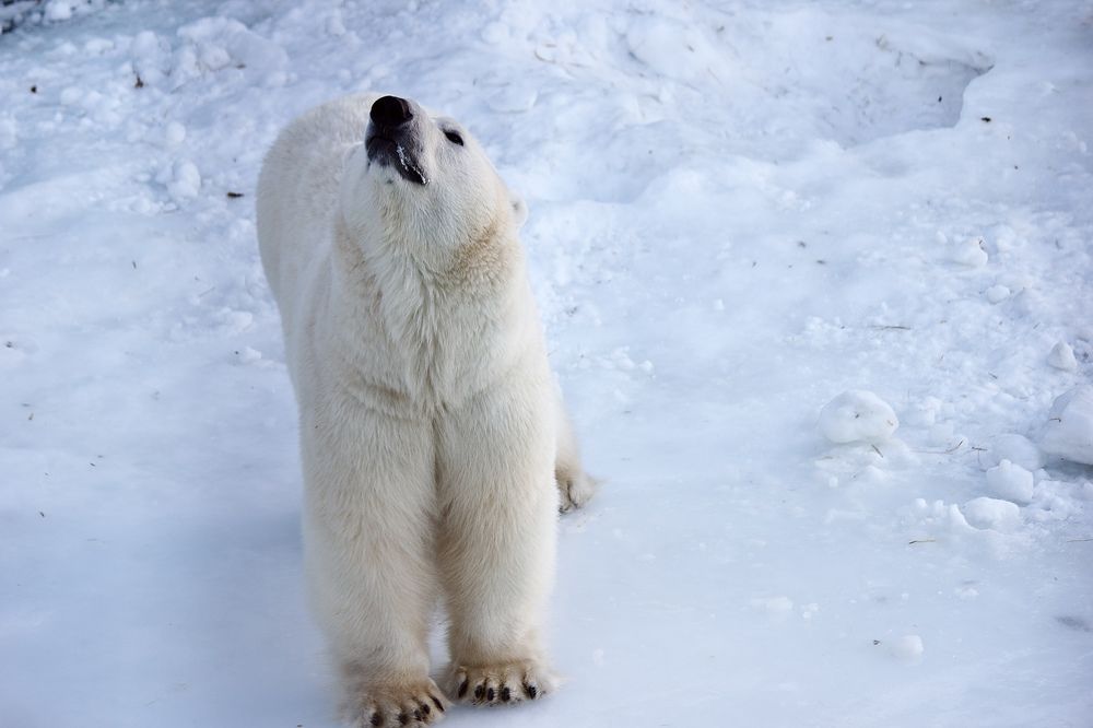 Photograph by Лариса Белашова