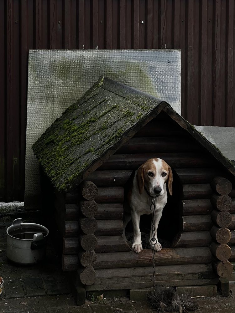 Фотография автора Ника