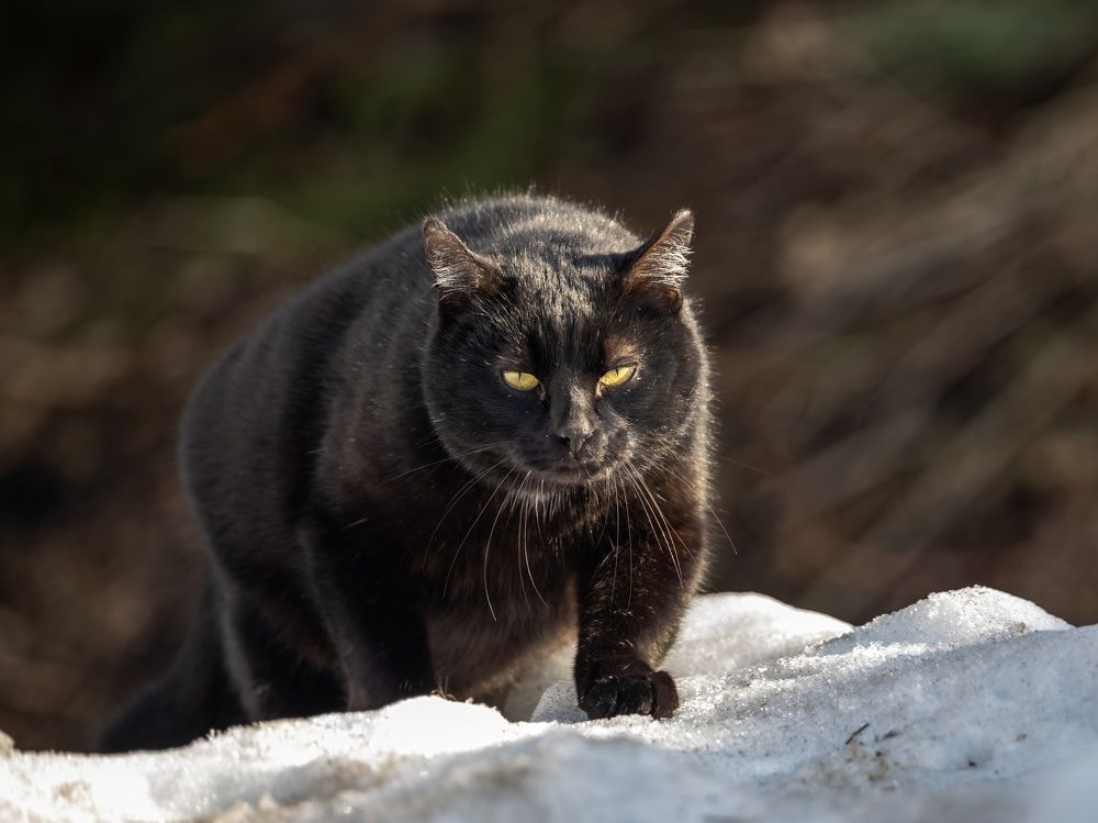 Photograph by Сергей Хабаров