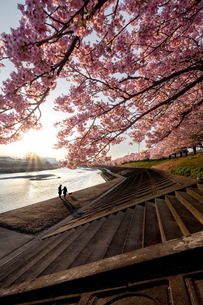 Photograph by tatsuya ozawa