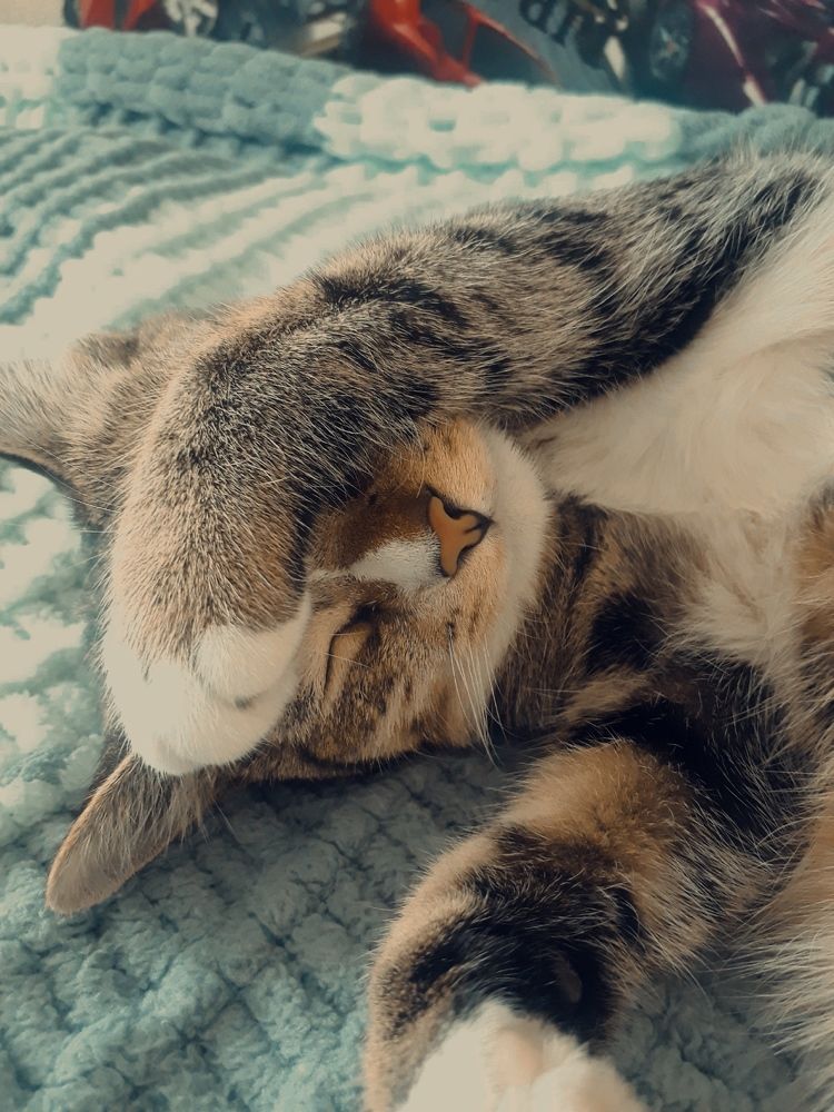 Photograph by Диана Пустынцева