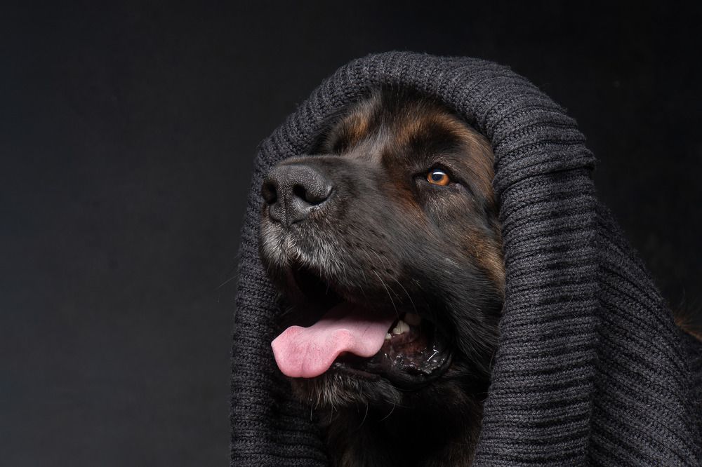 Photograph by Марина Виноградова