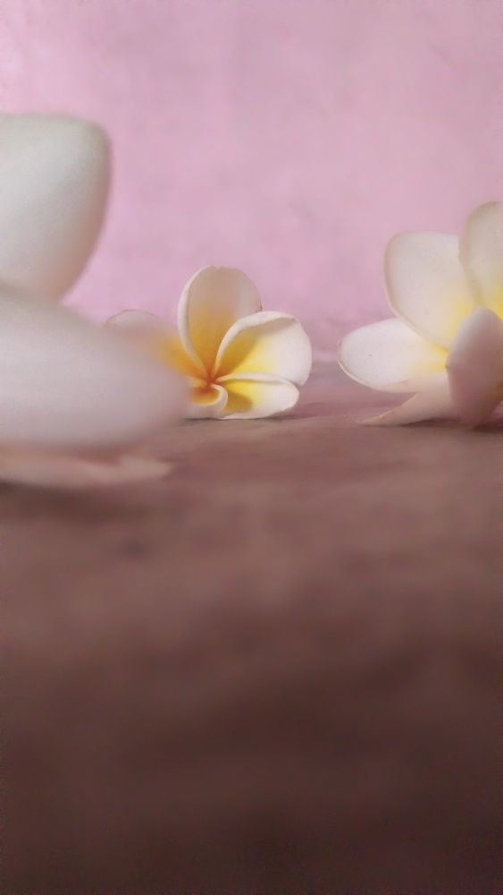 Photo #10483272