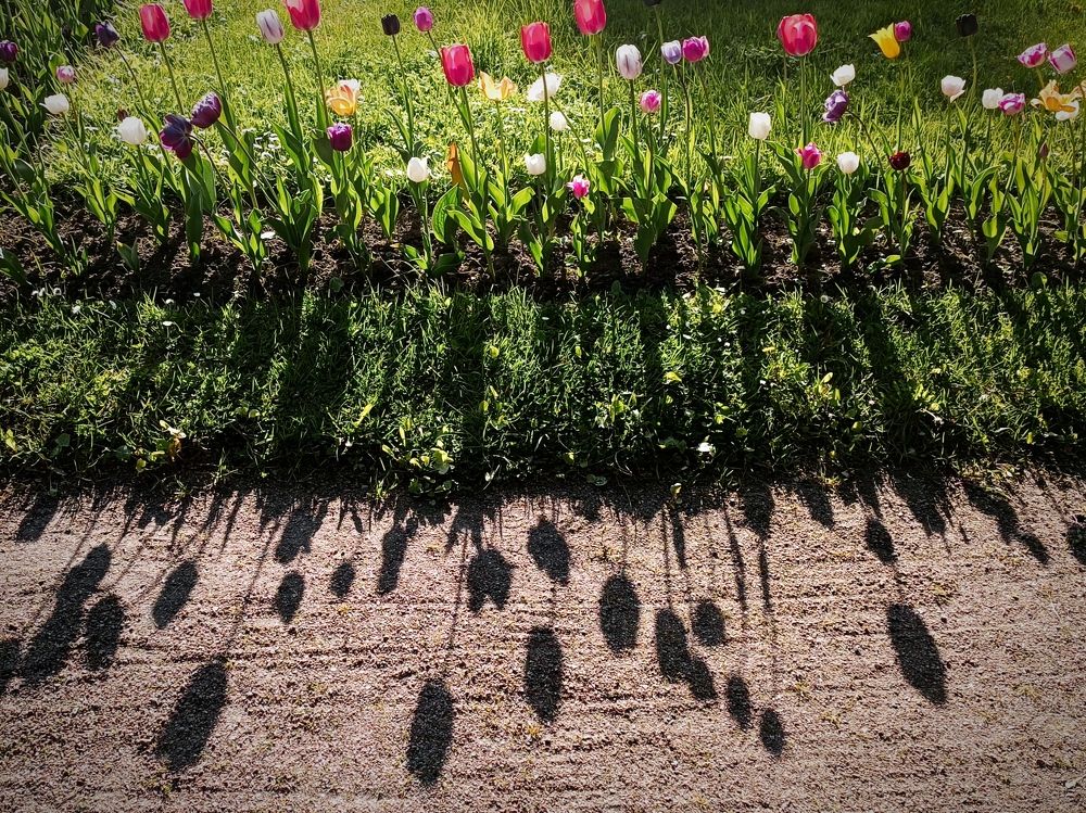 Photograph by Бодрова Елена