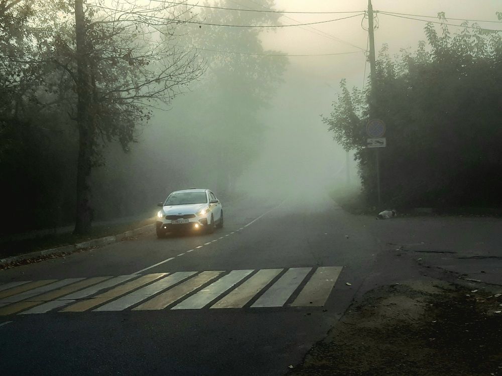 Photograph by Екатерина