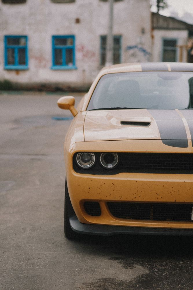 Photograph by Светлана Субботина