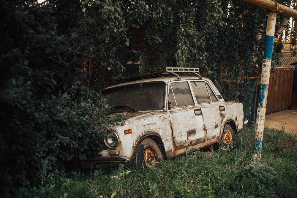 Photograph by Светлана Субботина