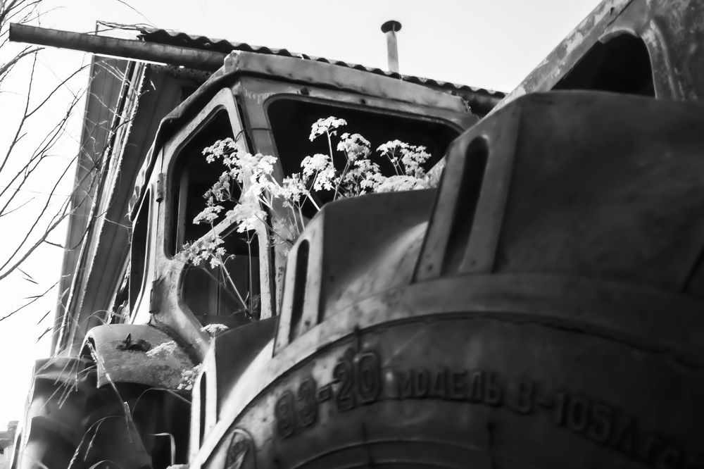 цветущий трактор