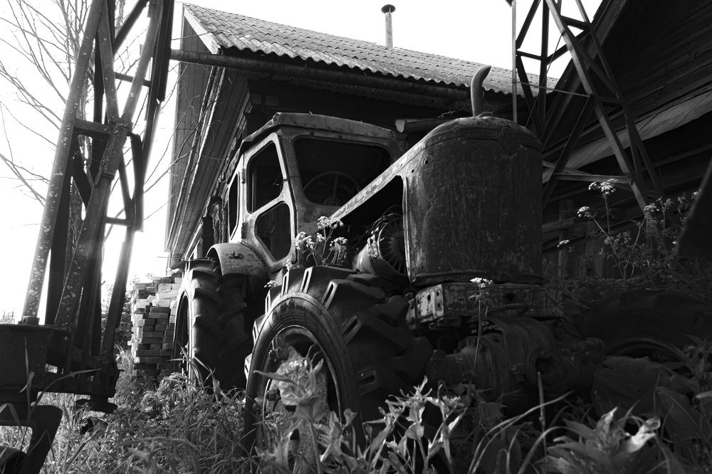 Photograph by Андрей