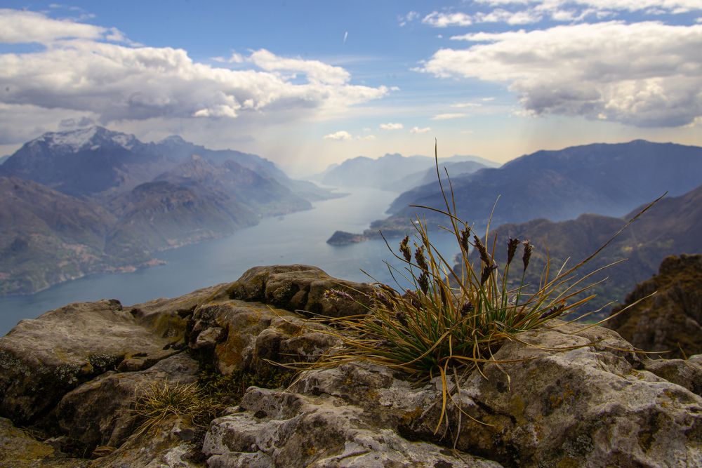 Фотография автора Martin Koudelka