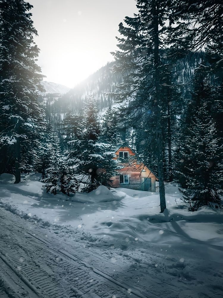 Photograph by Евгений Рудиков