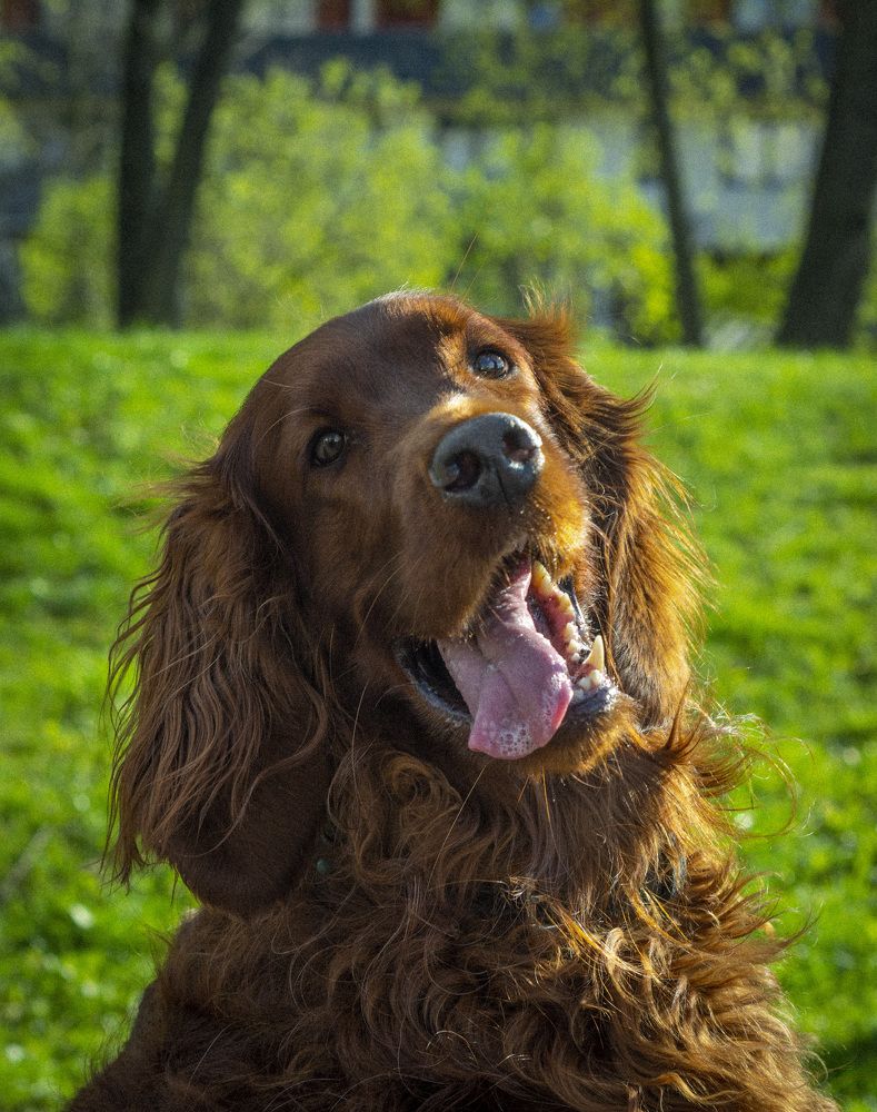 Photograph by Руслан Турянський