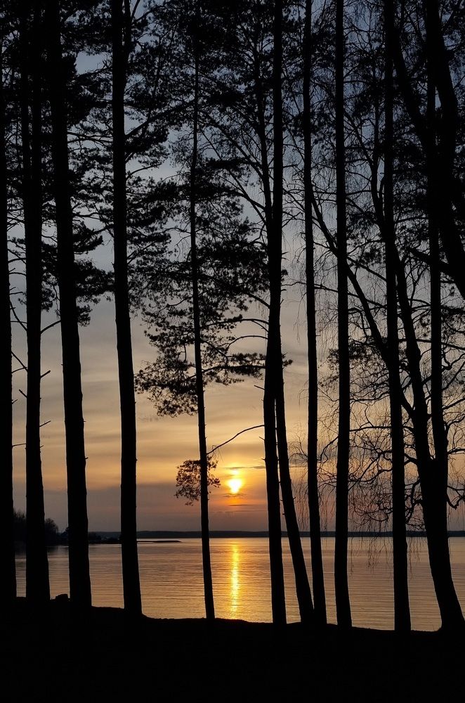 Kiss of sun