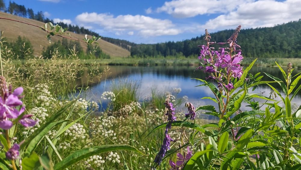 Photograph by Евдокия Николаева