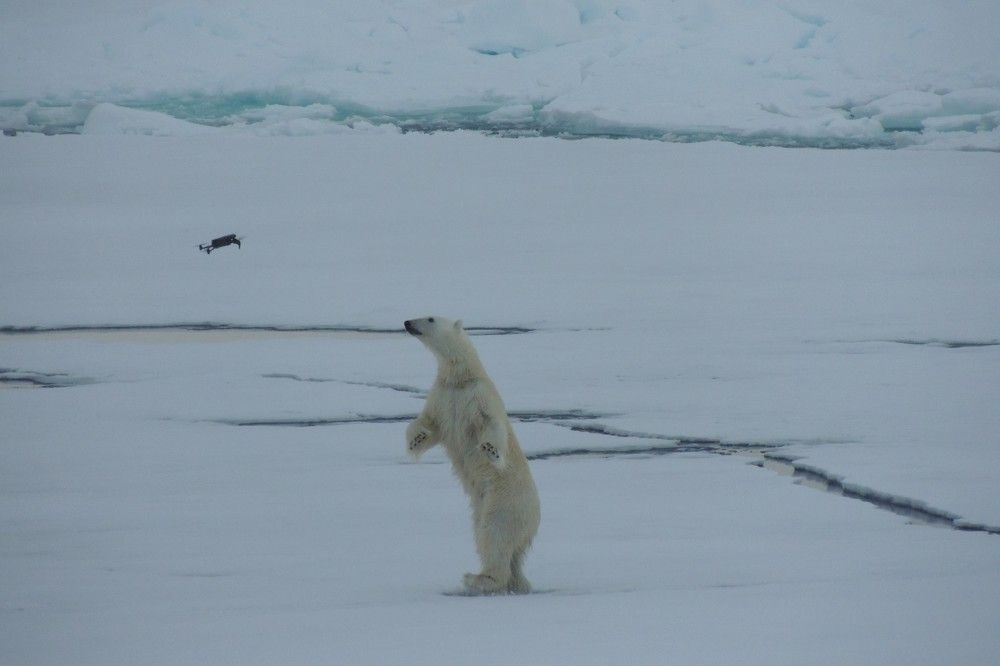Photograph by Константин Токарев