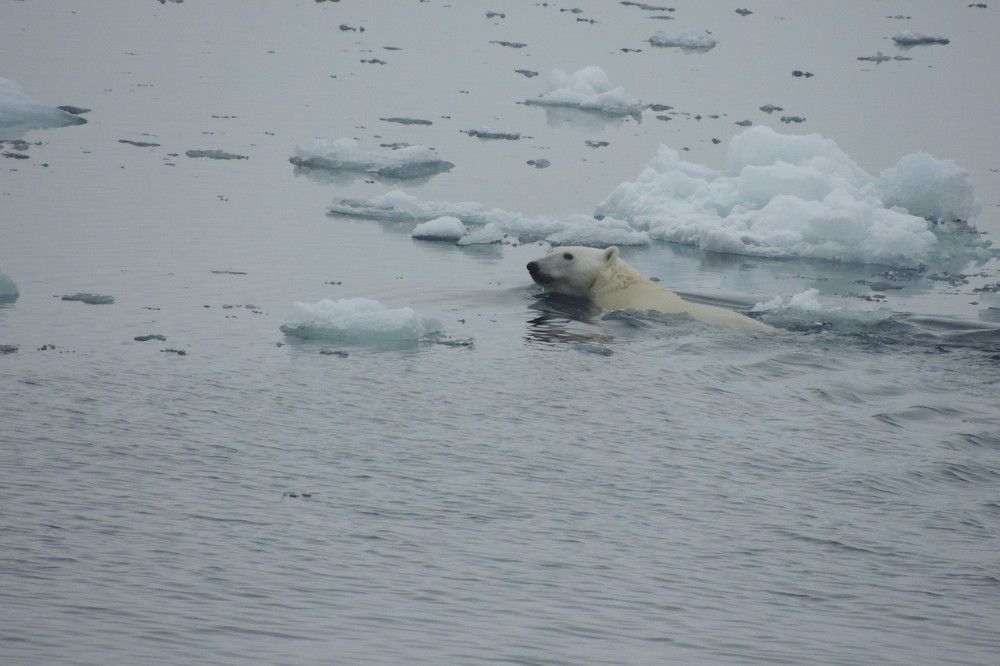 Photograph by Константин Токарев