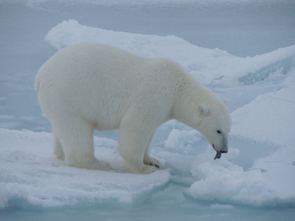 Photograph by Константин Токарев