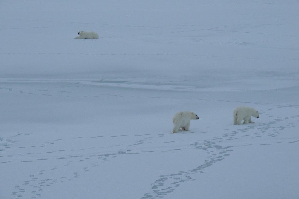 Photograph by Константин Токарев