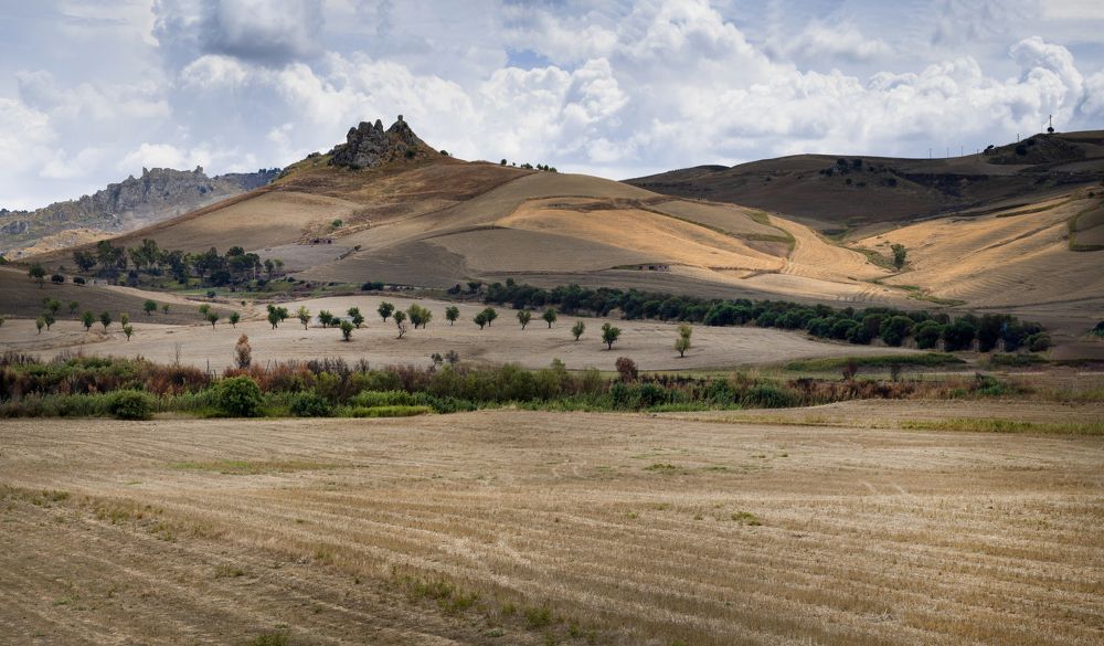 Photograph by Сергей Галёса