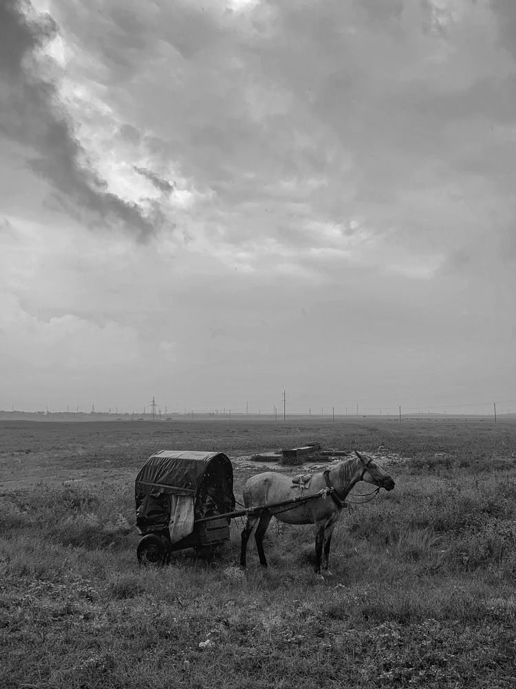 Photograph by Бахмурова Ирина