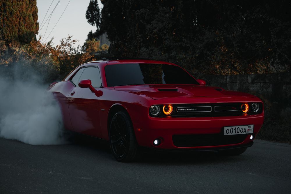 Фотография автора Fallen Angel