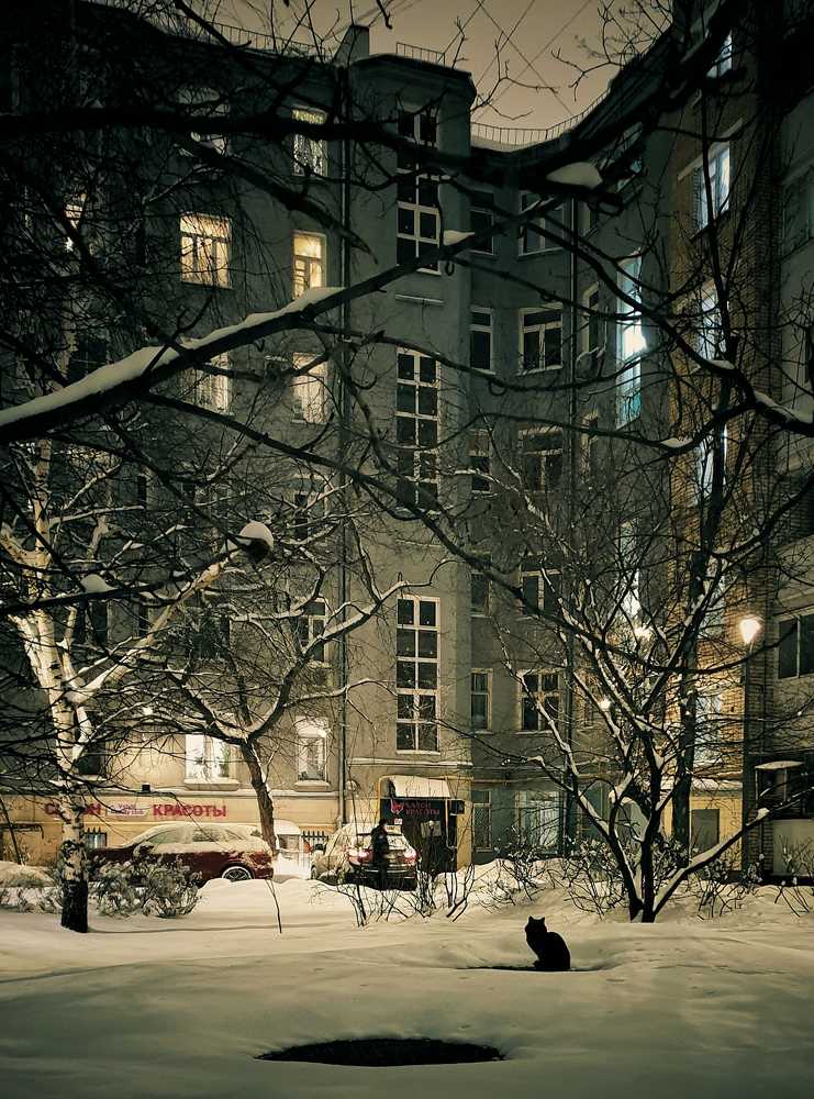 Photograph by Ирина Кузнецова