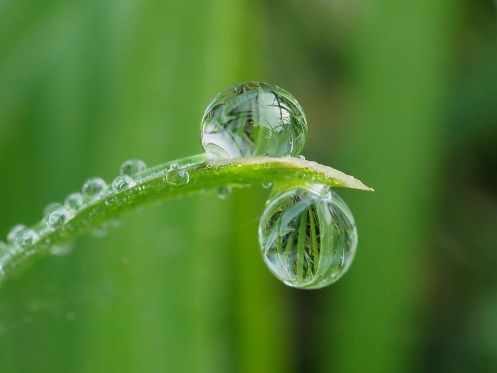 Photograph by Елена Харитонова