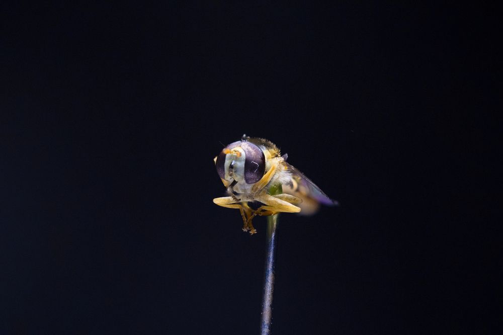 Photograph by Илья Кулаков
