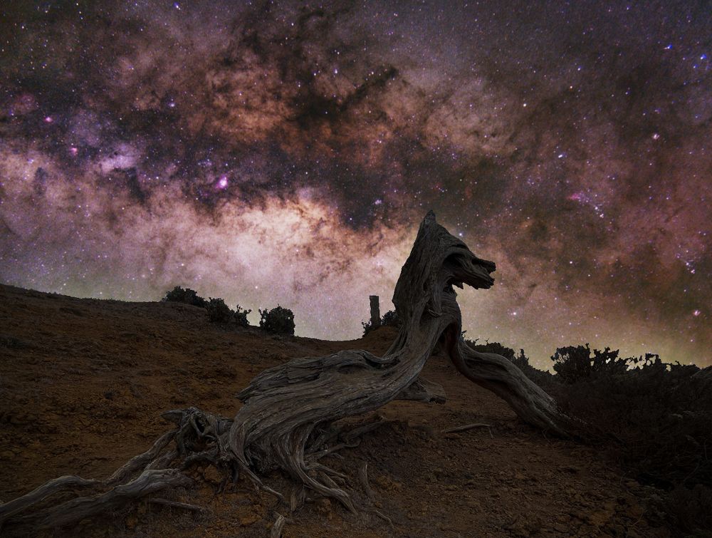 Photograph by Corina-Gabriela Fotin