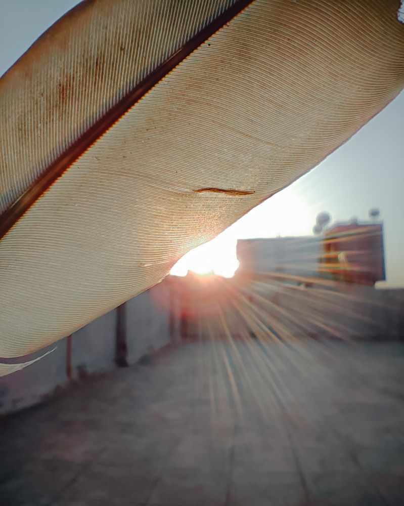 Photograph by Abhi Kalkani