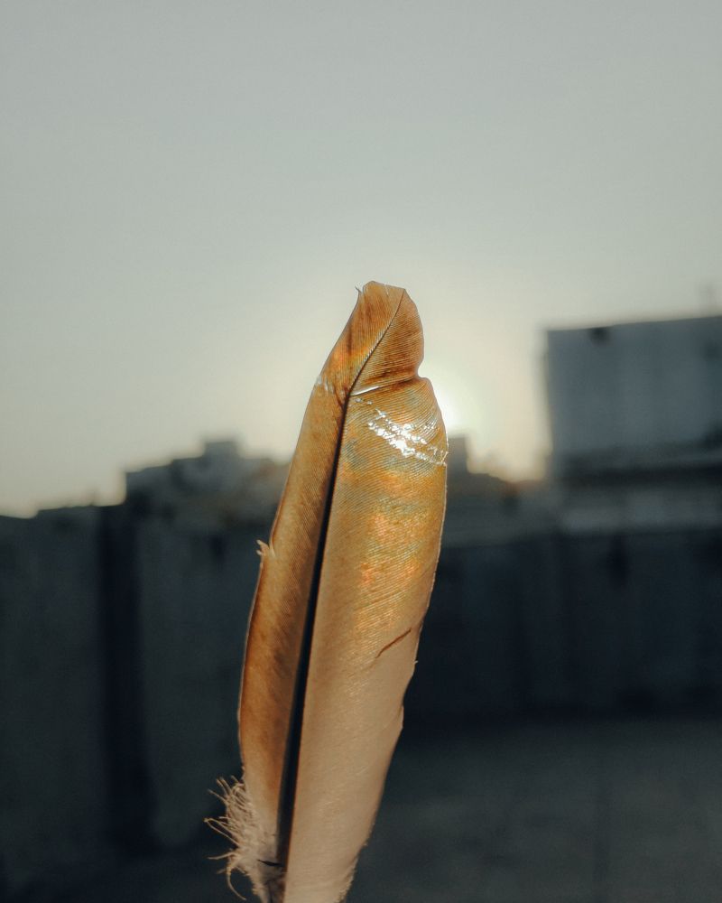 Photograph by Abhi Kalkani