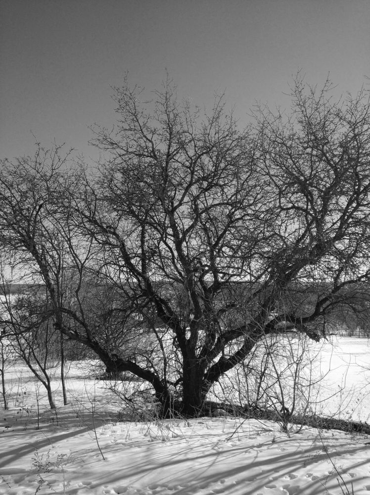 Photograph by Елена Коробченко