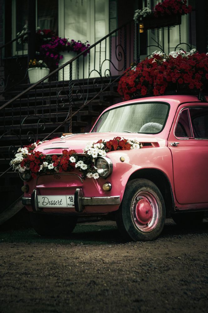 Photograph by Stanislav Shelby