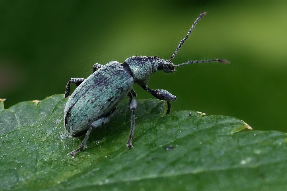 Photograph by Игорь Чеботарёв