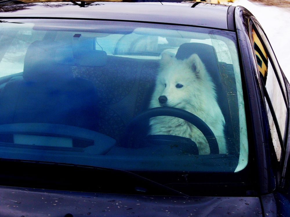 Photograph by Юрий Пучков