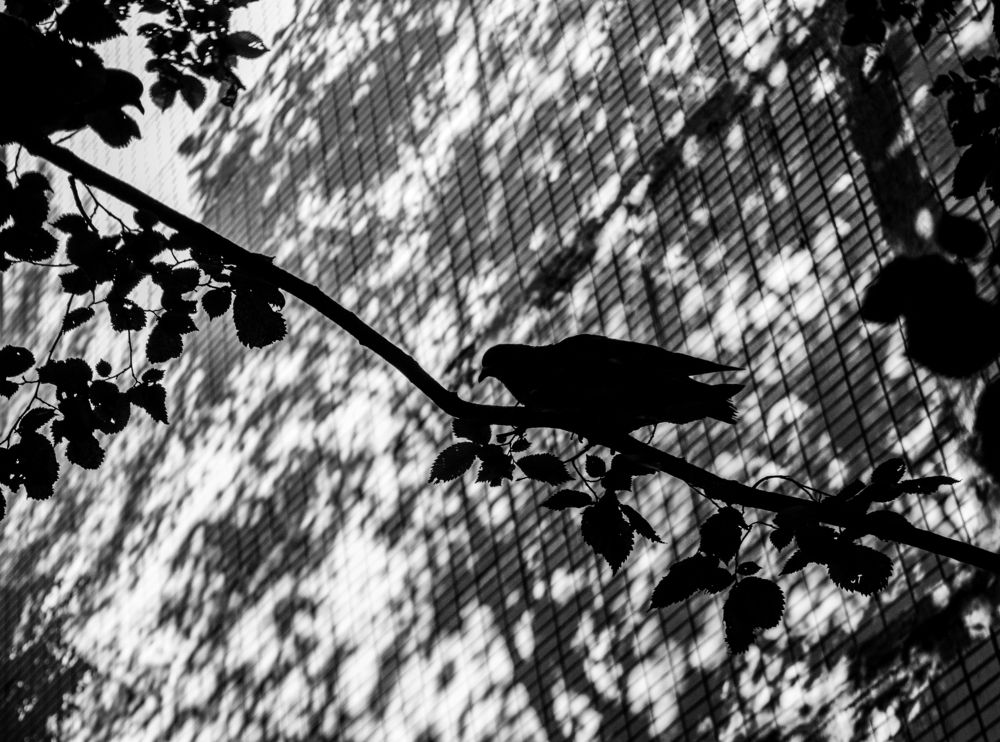 Photograph by Анастасия Костылева