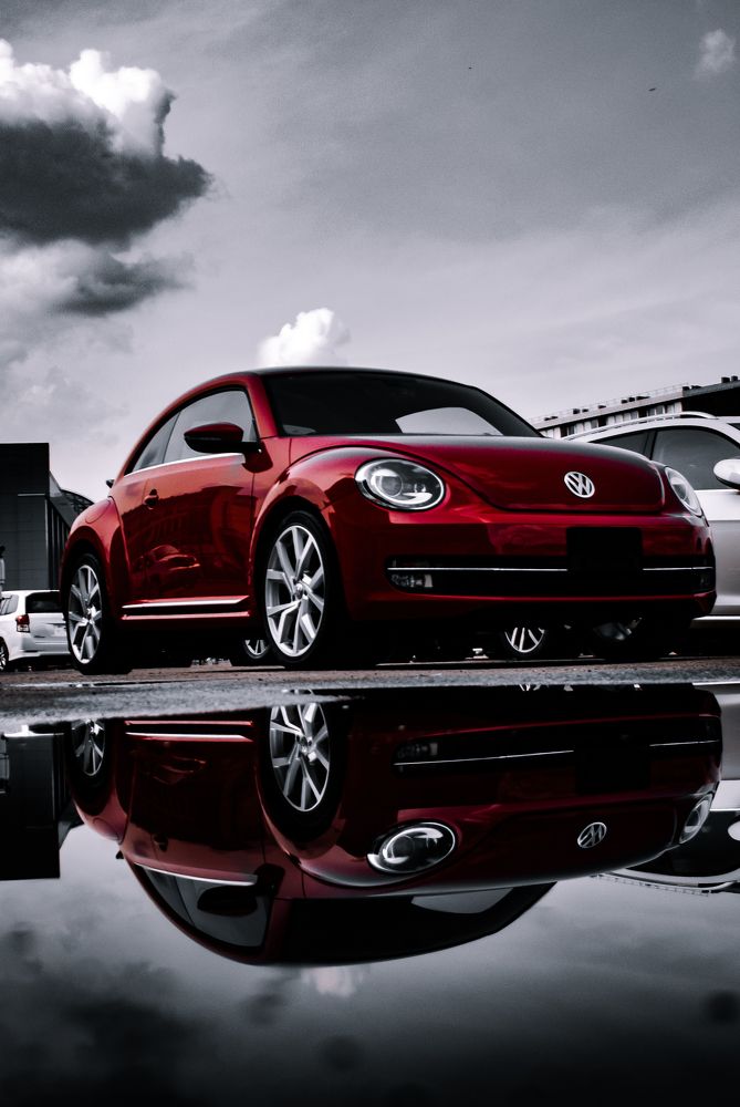 Фотография автора Алик Мелконян