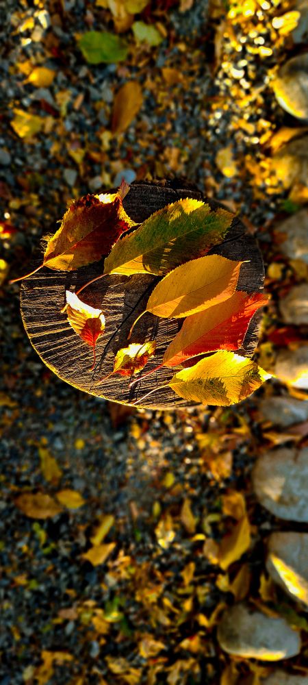 Photograph by Muhammad Usama Muhammad Irshad Naz