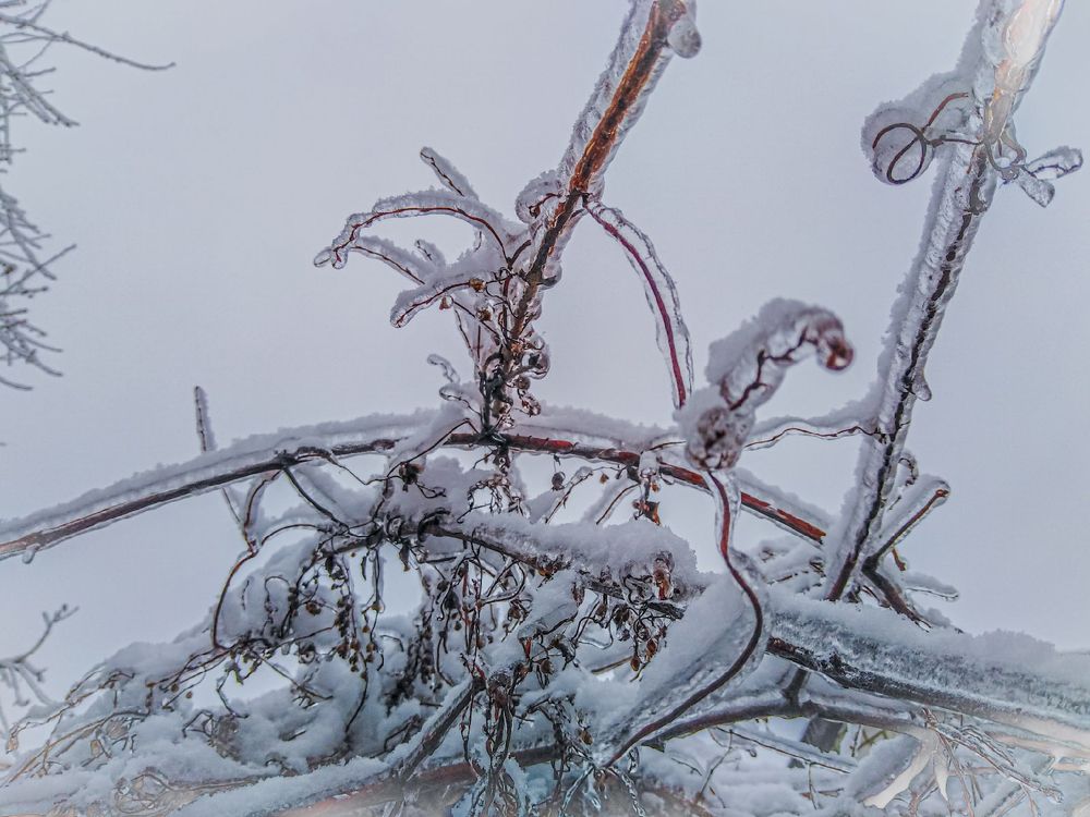 Photograph by Игорь Гаврилов