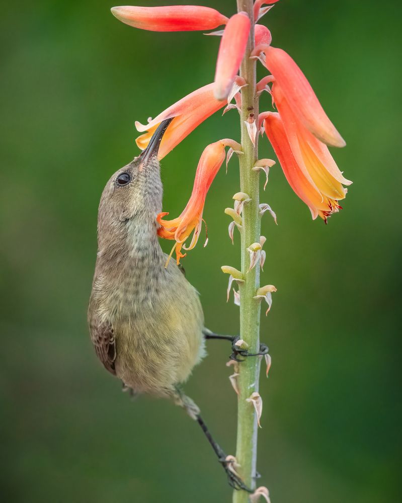 Photograph by Ammar alomari