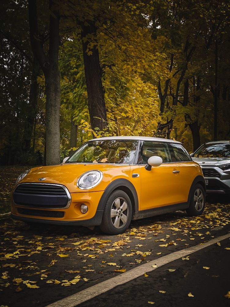 Photograph by Эрика Чечерина