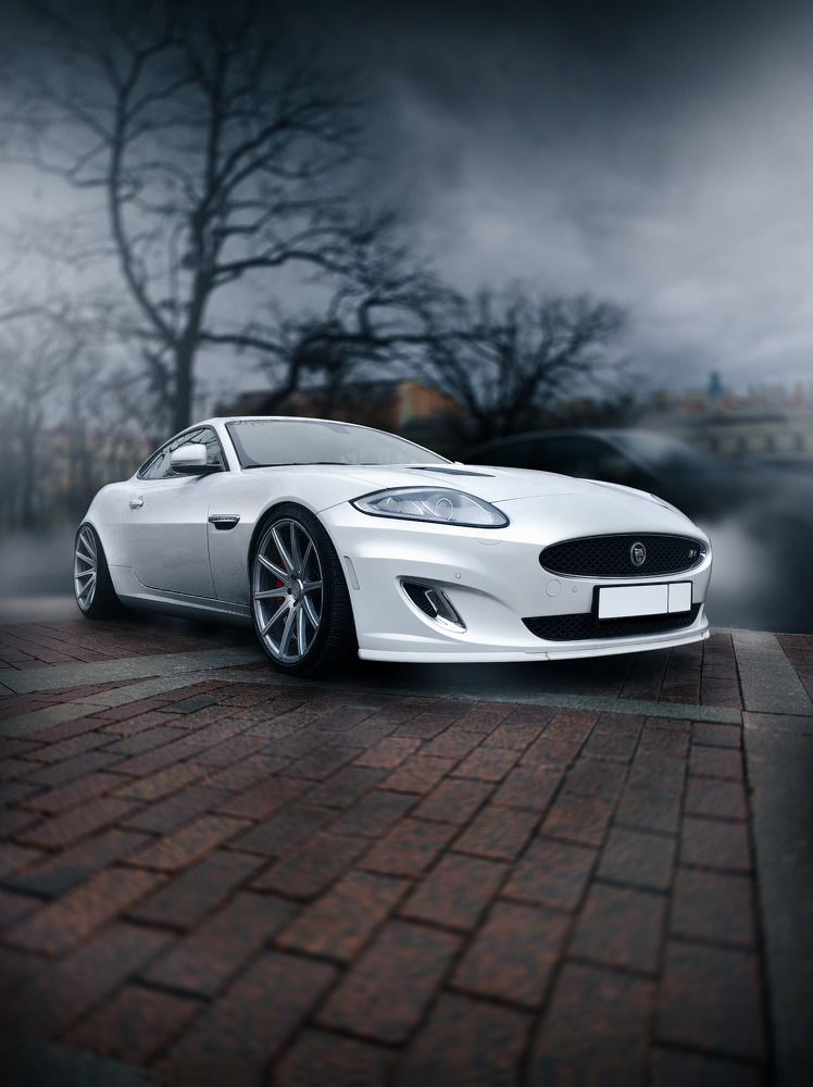 Photograph by Эрика Чечерина