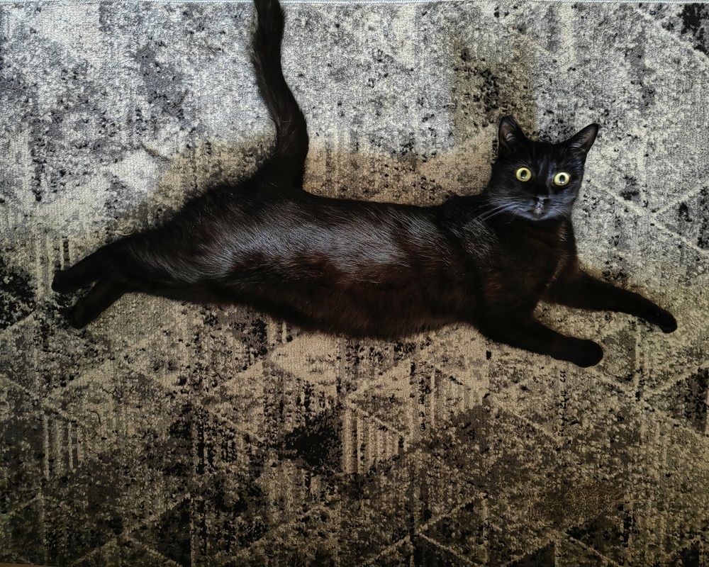 Фотография автора Андрей