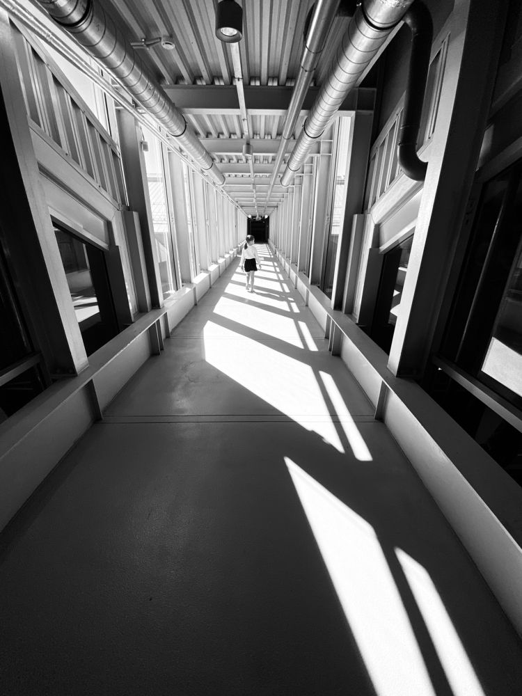 Photograph by Анастасия Ломаева