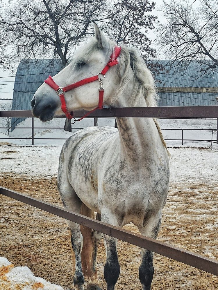 Photograph by Ирина Горбач