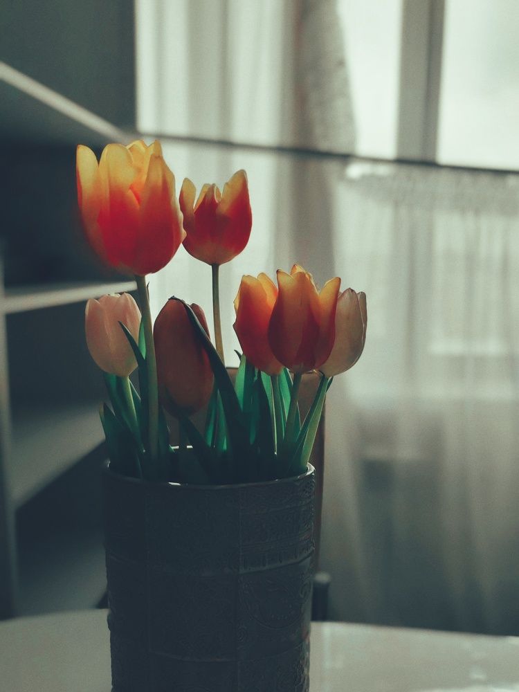 Photograph by Наталья Веряскина