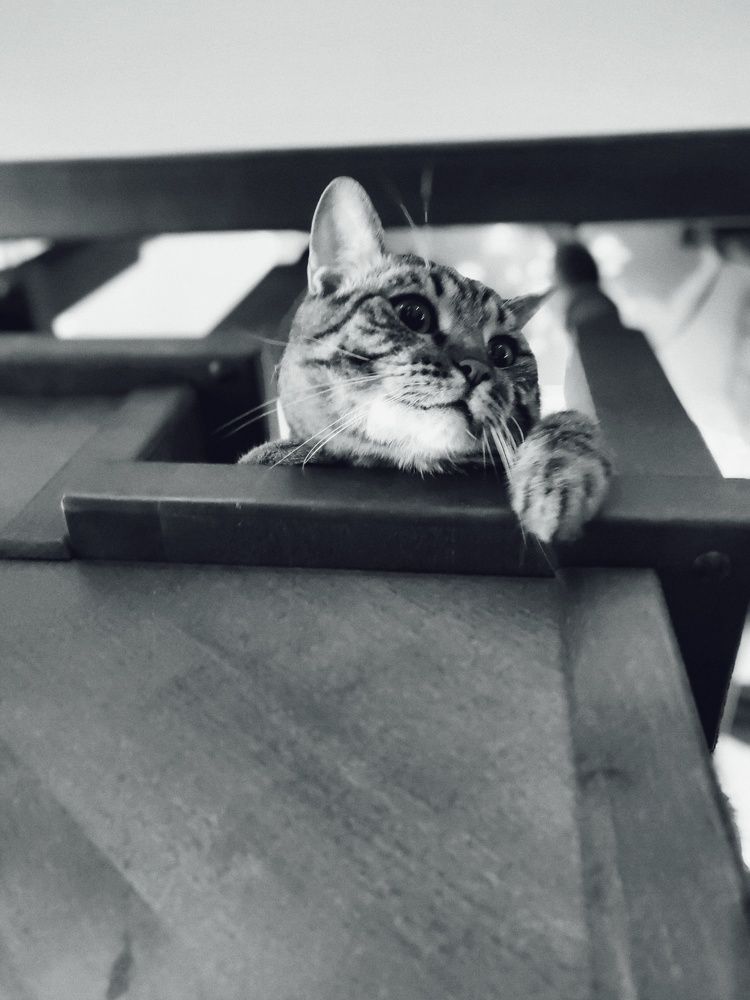 Photograph by Наталья Веряскина