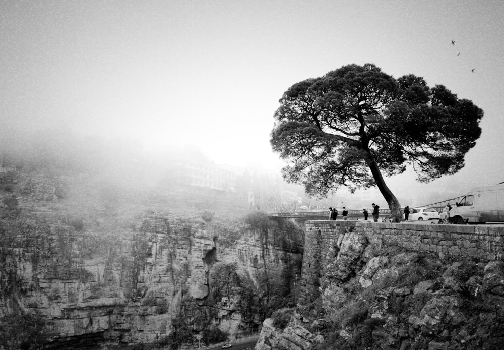 Photograph by Mohamed Larbi Larouk