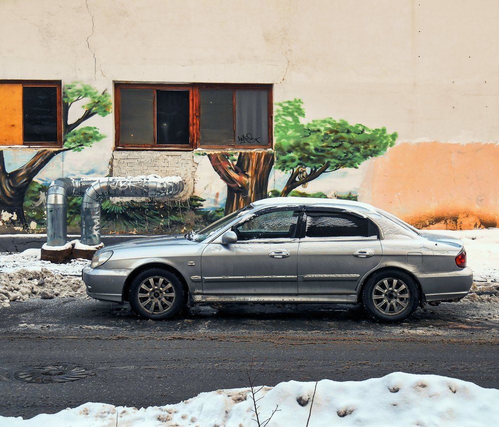 Photograph by Валерий Петухов